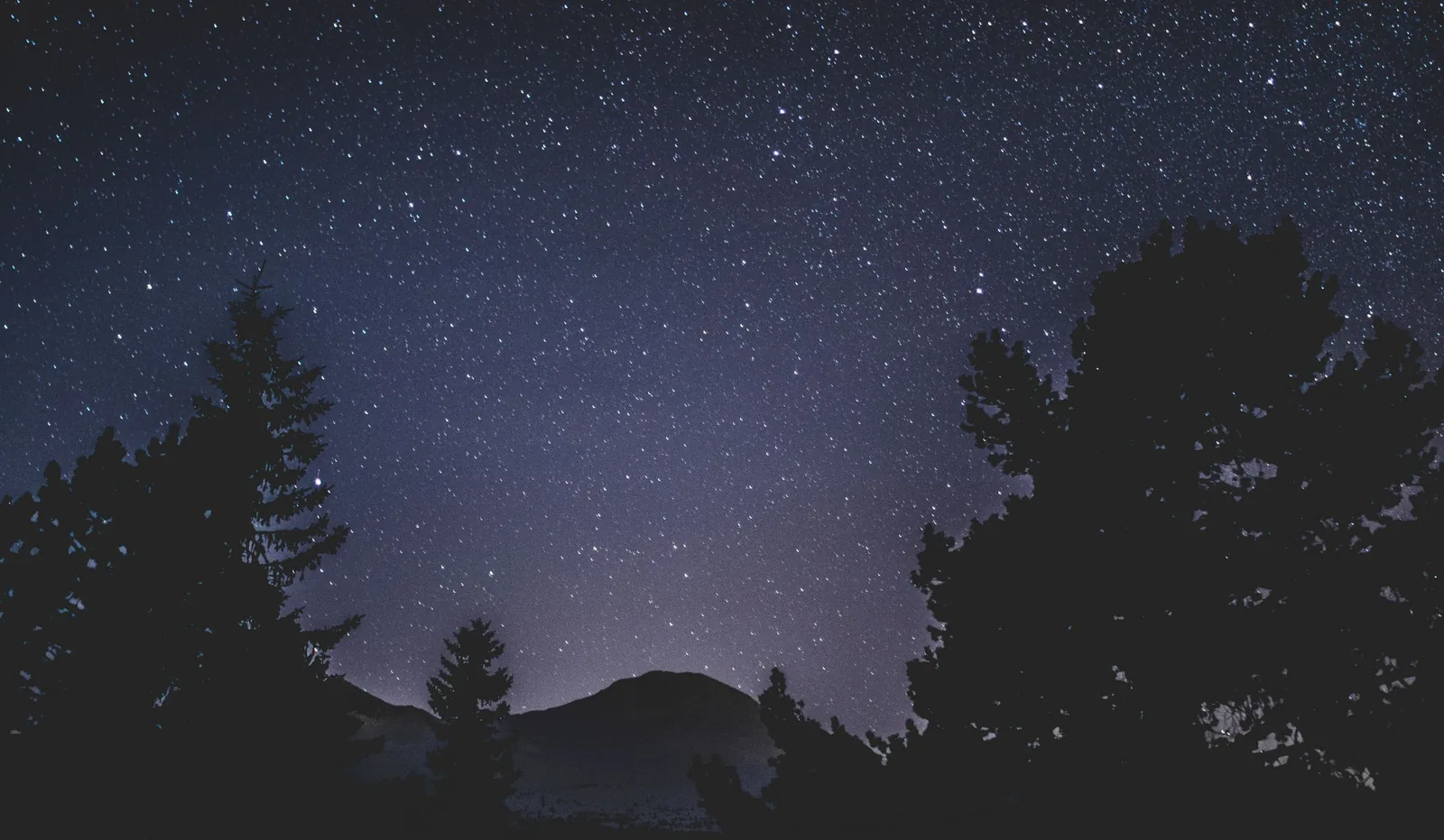 A clear, star-filled sky above silhouetted trees and mountains