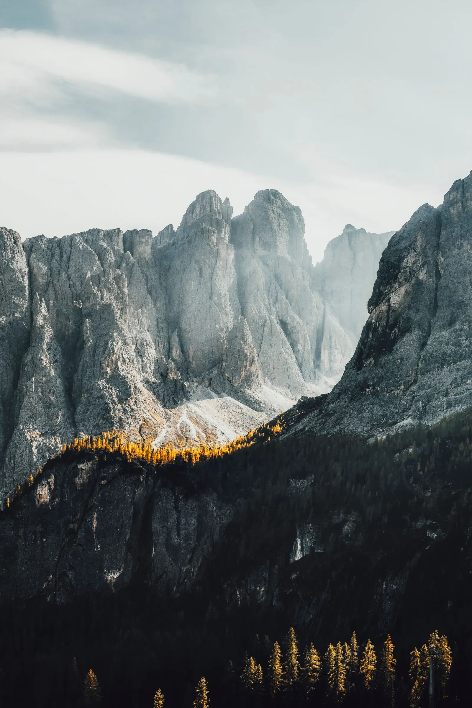 The Dolomites in autumn, pale cliffs above golden larches