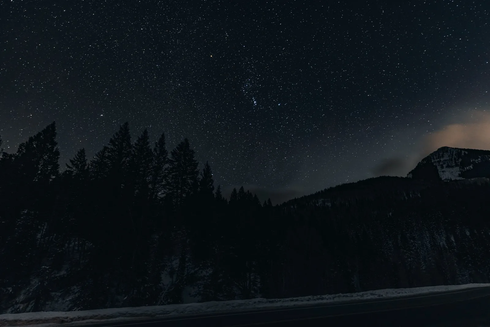 A night sky full of stars over pine trees and mountains